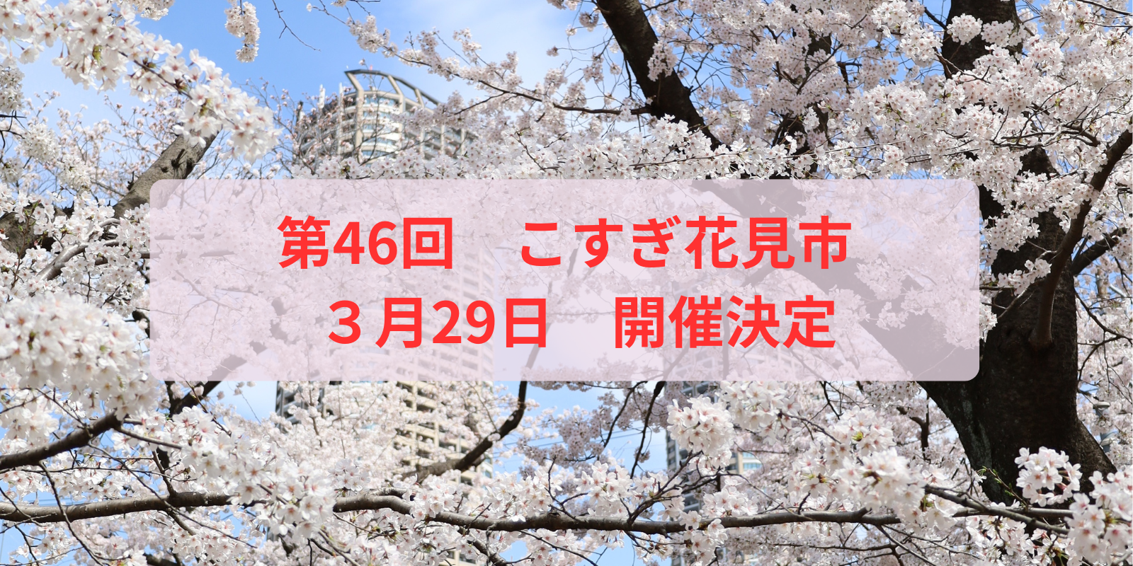 第46回花見市